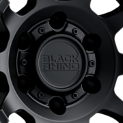 ブラックライノ　チャンバー　マットブラック